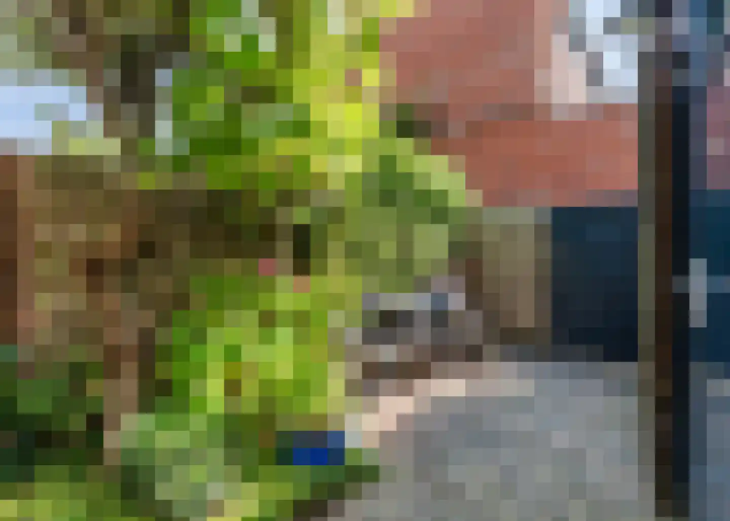 Sparrendaal 16 Vleuten thumbnail 19