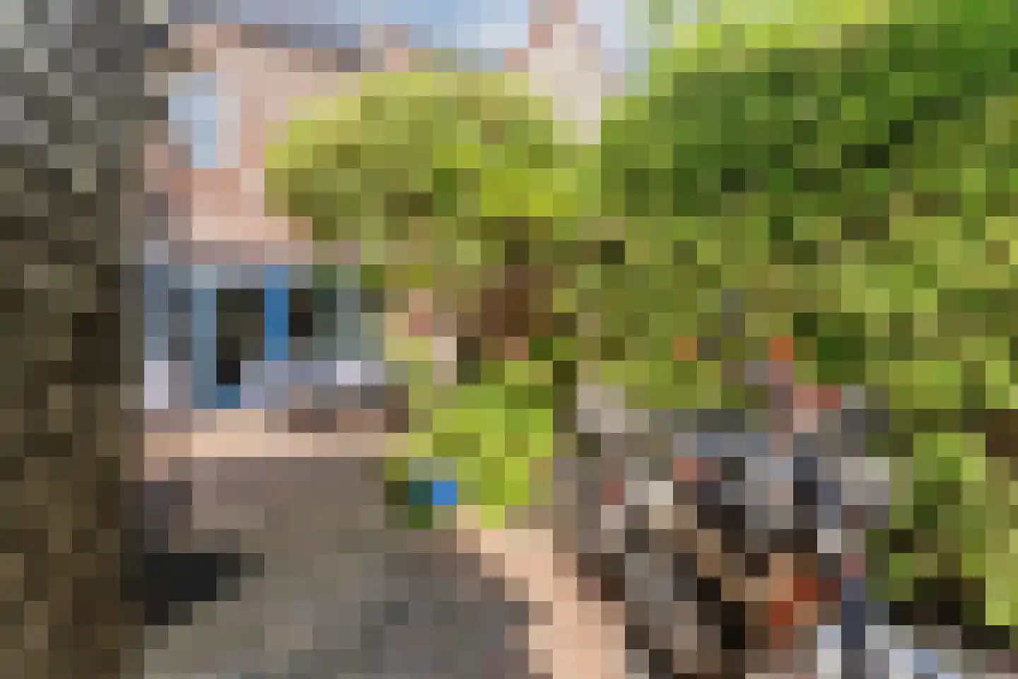 Sparrendaal 16 Vleuten thumbnail 21