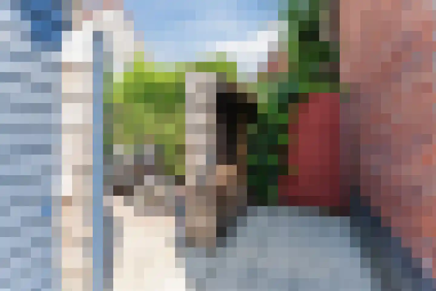 Sparrendaal 16 Vleuten thumbnail 22