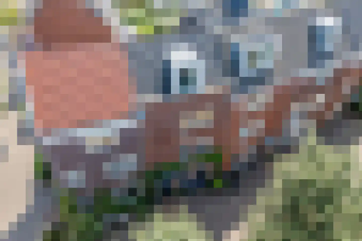 Sparrendaal 16 Vleuten thumbnail 55