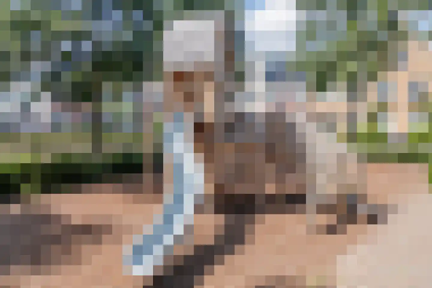 Sparrendaal 16 Vleuten thumbnail 57