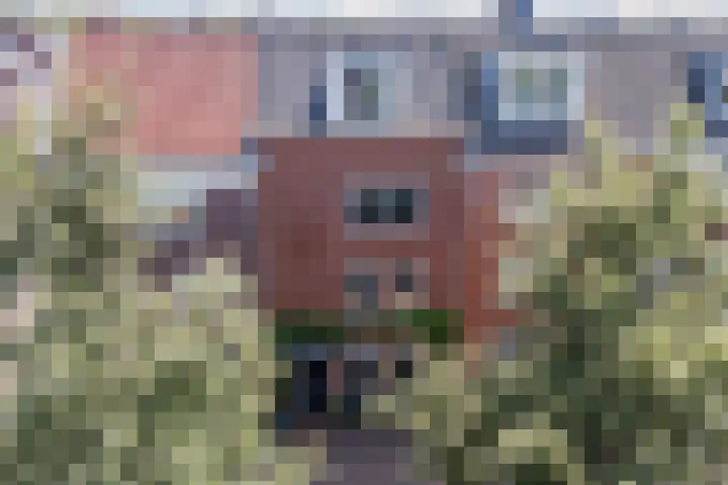 Sparrendaal 16 Vleuten thumbnail 6