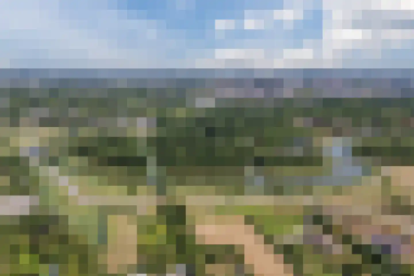 Sparrendaal 16 Vleuten thumbnail 60