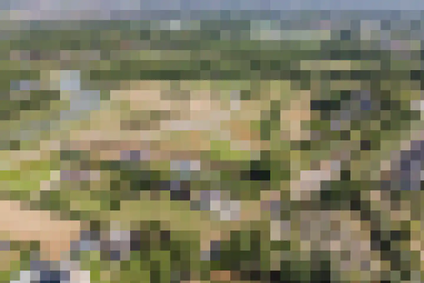 Sparrendaal 16 Vleuten thumbnail 63