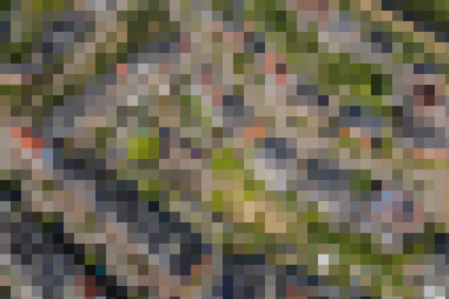 Sparrendaal 16 Vleuten thumbnail 64