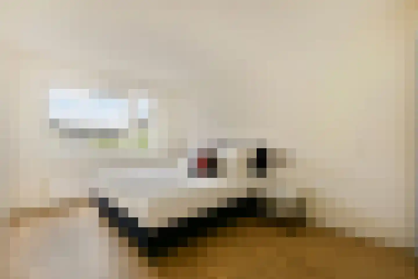 Sparrendaal 17 Amstelveen thumbnail 16