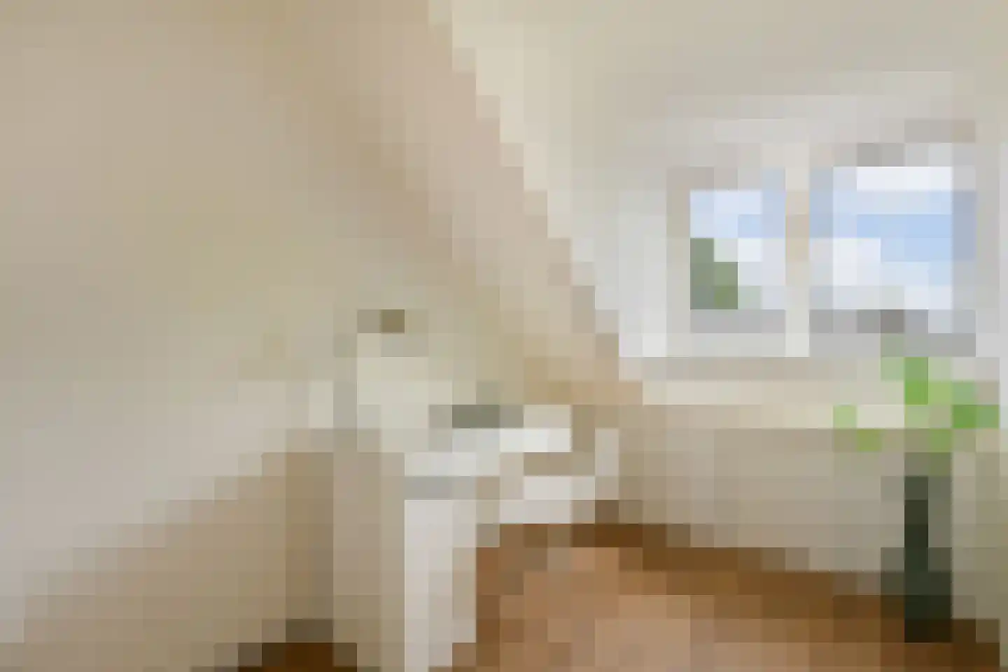Sparrendaal 17 Amstelveen thumbnail 26