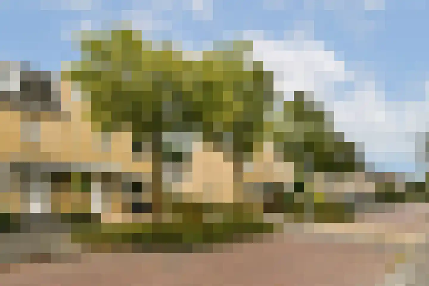 Sparrendaal 17 Amstelveen thumbnail 32