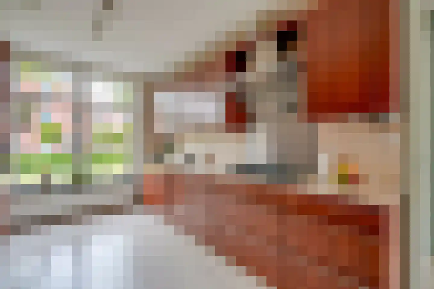 Sparrendaal 32 Vleuten thumbnail 20
