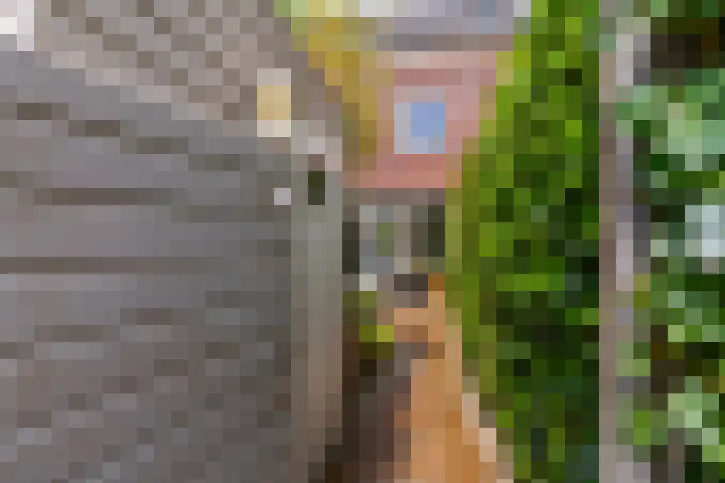Sparrendaal 32 Vleuten thumbnail 22