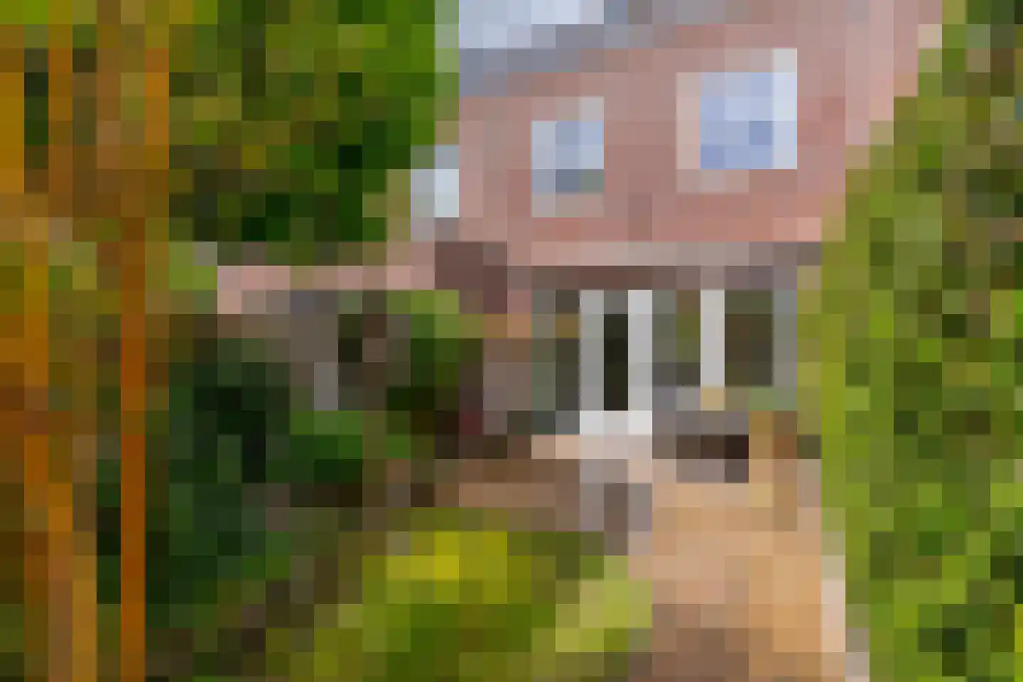 Sparrendaal 32 Vleuten thumbnail 23