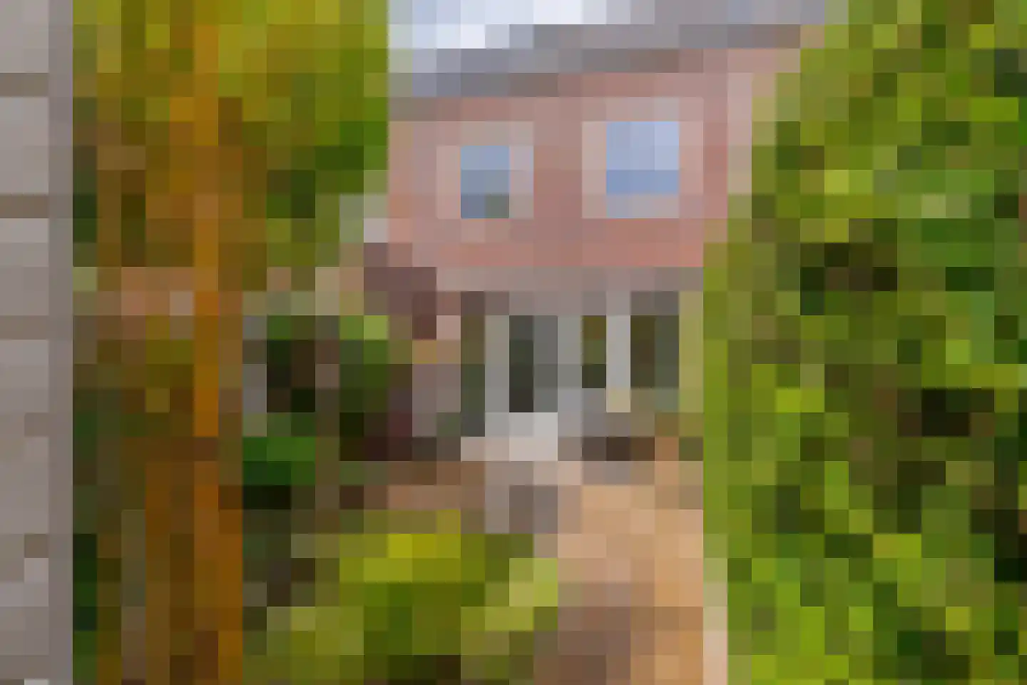 Sparrendaal 32 Vleuten thumbnail 24