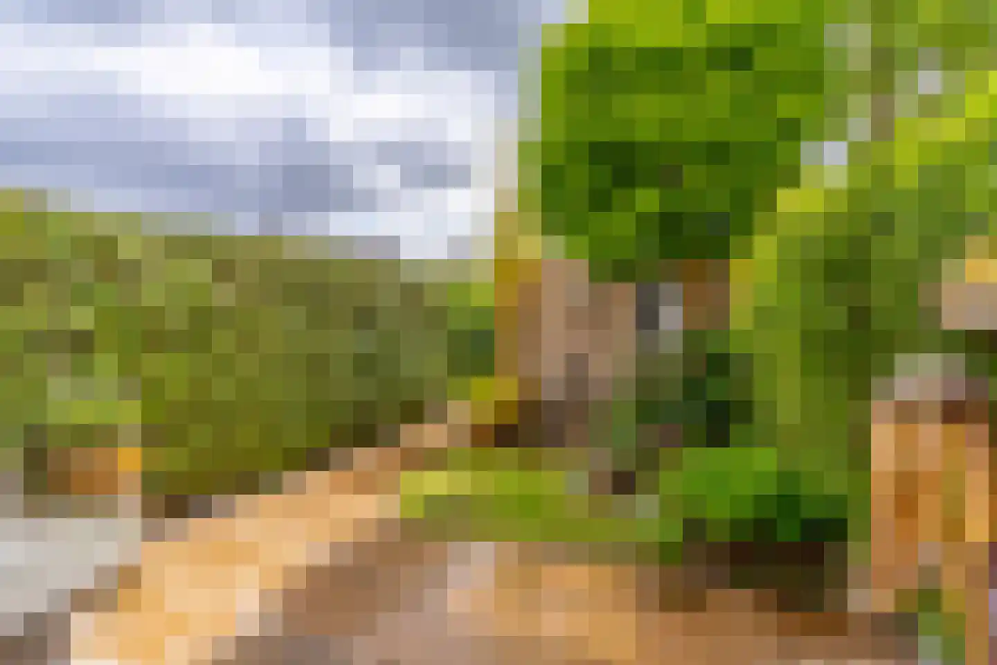 Sparrendaal 32 Vleuten thumbnail 26