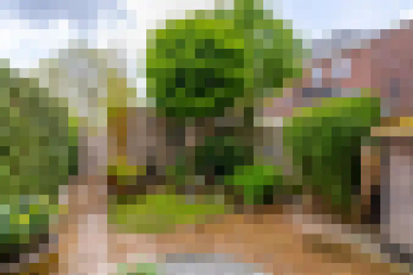 Sparrendaal 32 Vleuten thumbnail 27