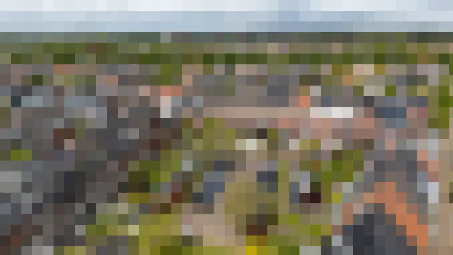 Sparrendaal 32 Vleuten thumbnail 55
