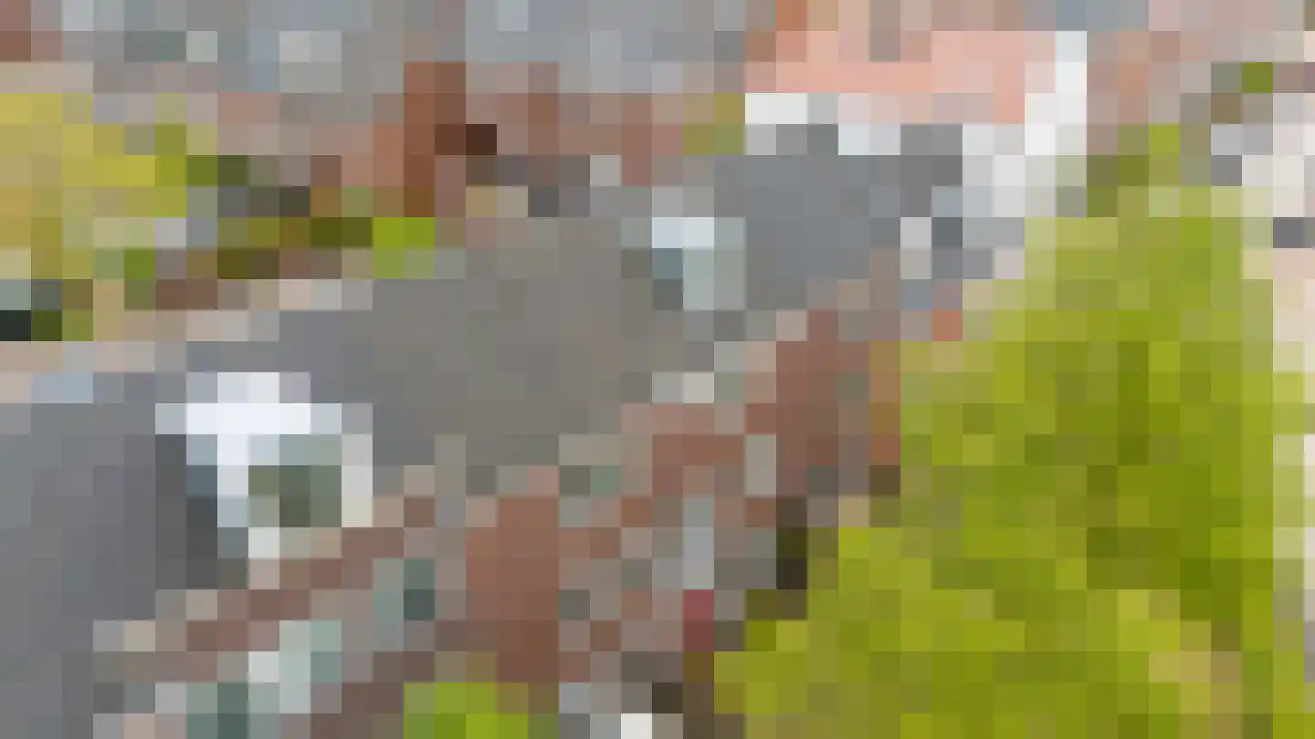 Sparrendaal 32 Vleuten thumbnail 57