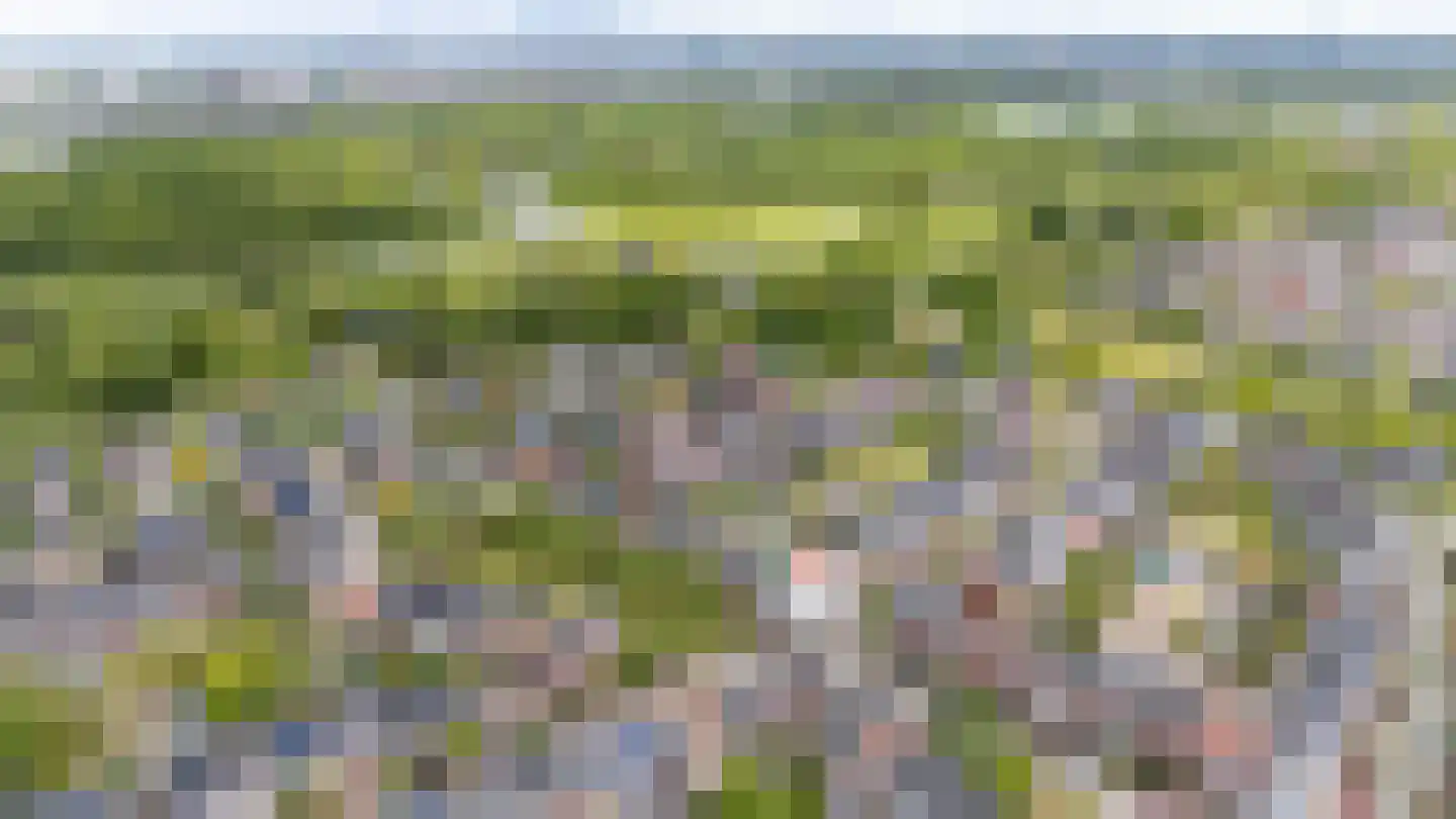 Sparrendaal 32 Vleuten thumbnail 58