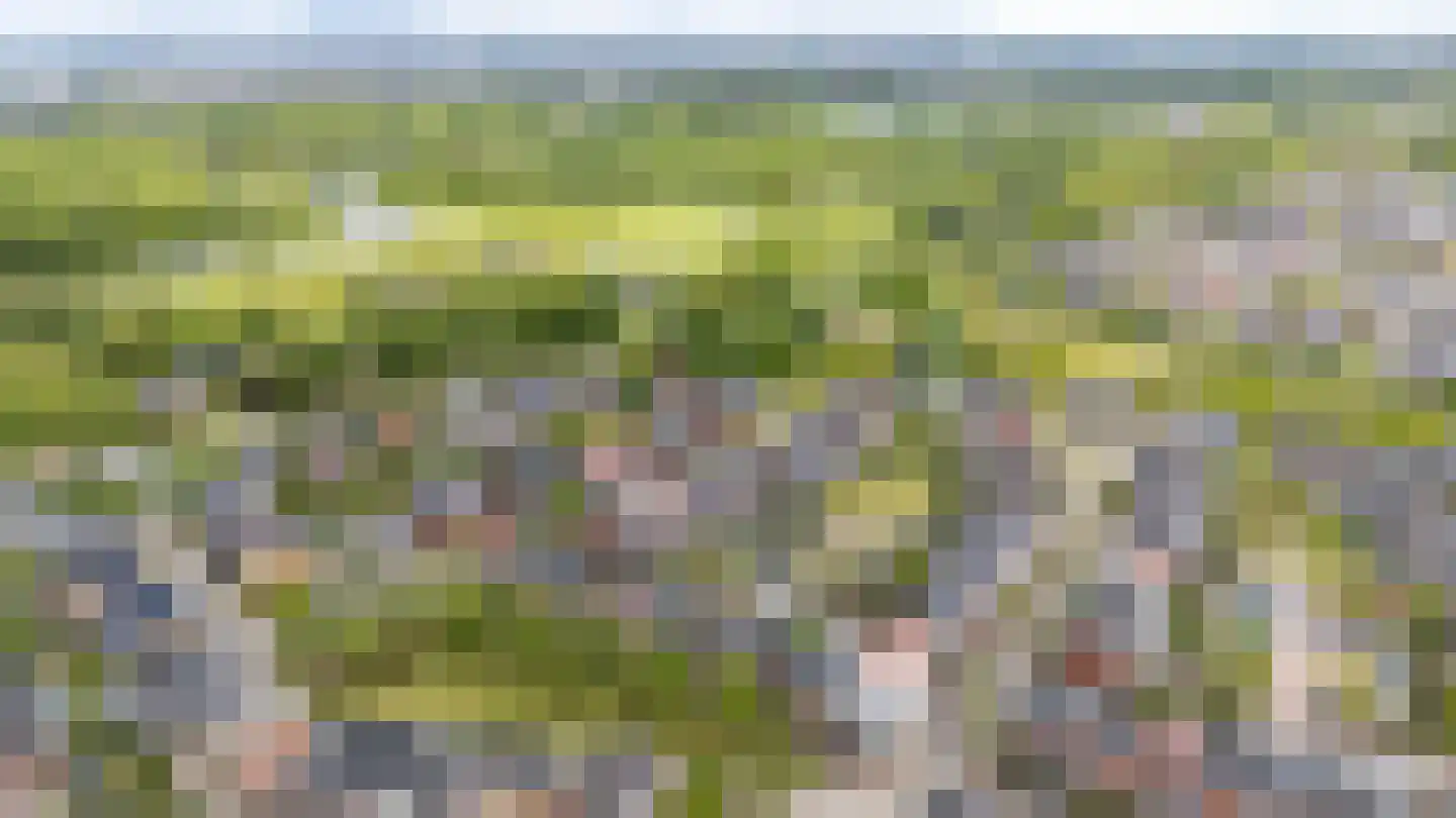 Sparrendaal 32 Vleuten thumbnail 60