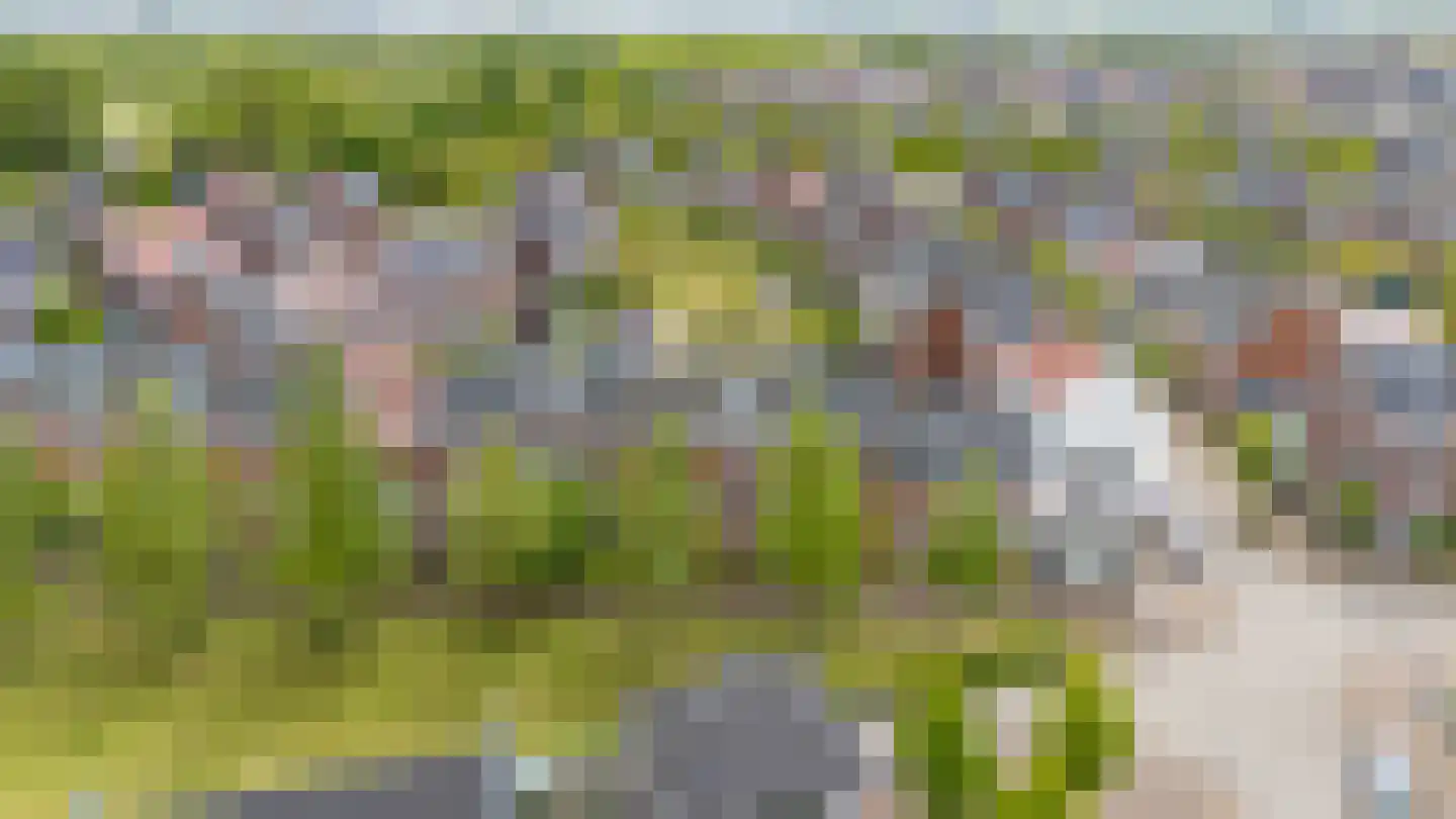 Sparrendaal 32 Vleuten thumbnail 61