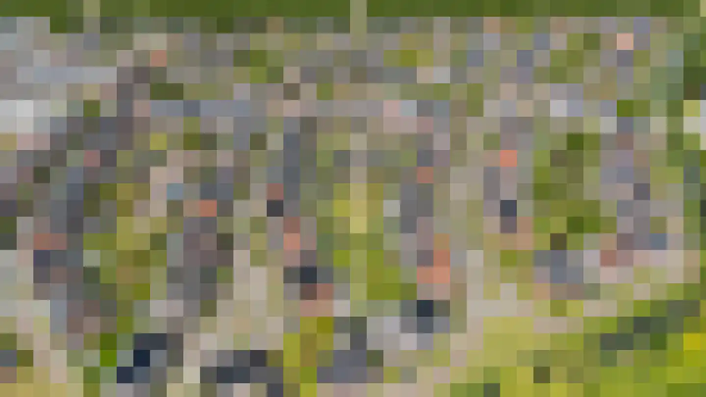 Sparrendaal 32 Vleuten thumbnail 62