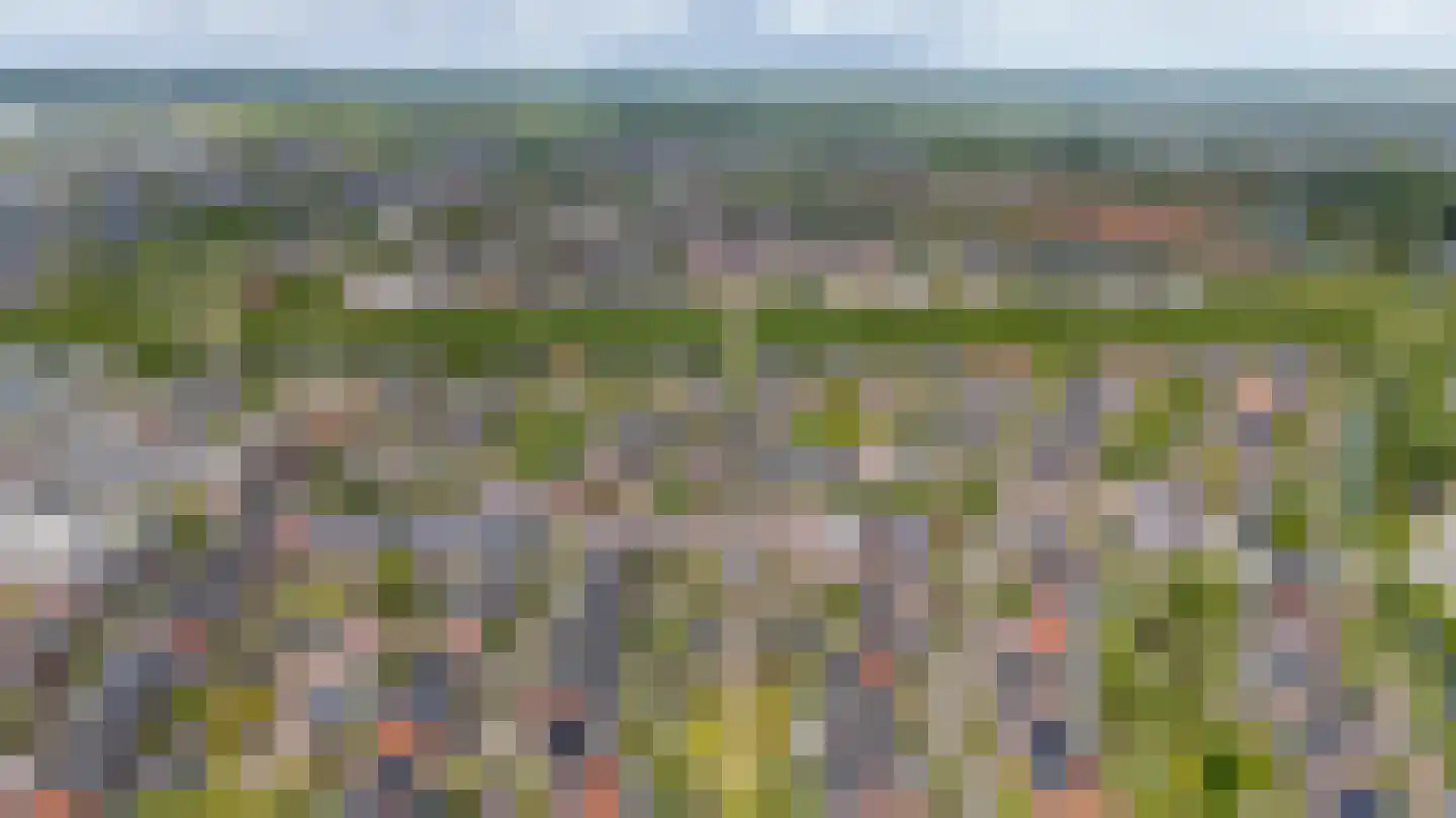Sparrendaal 32 Vleuten thumbnail 63