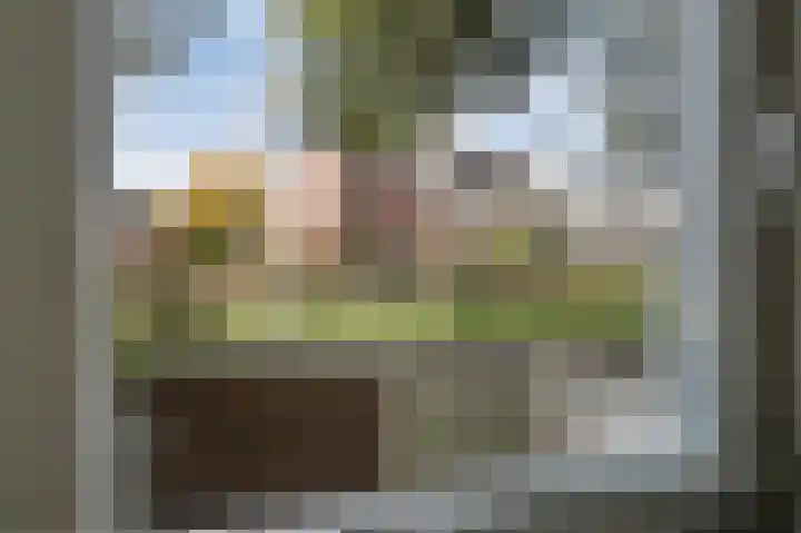Sparrendaal 34 Vleuten thumbnail 11