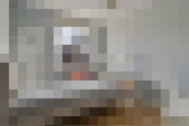 Sparrendaal 34 Vleuten thumbnail 17