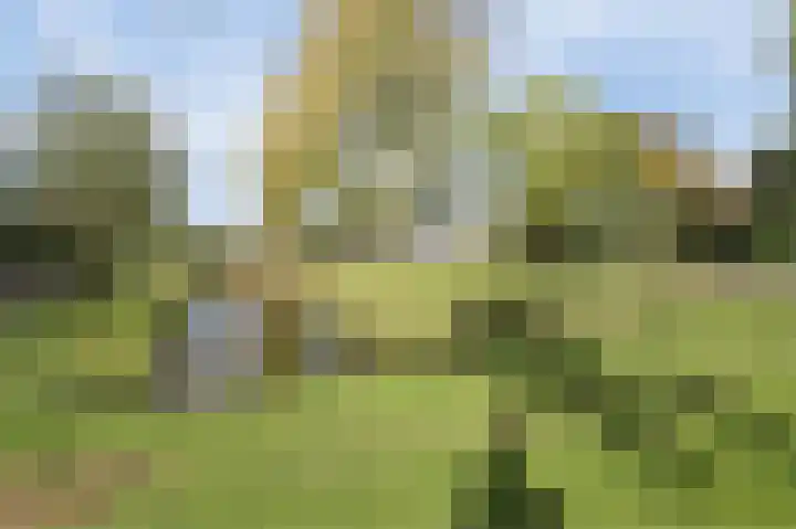 Sparrendaal 34 Vleuten thumbnail 23