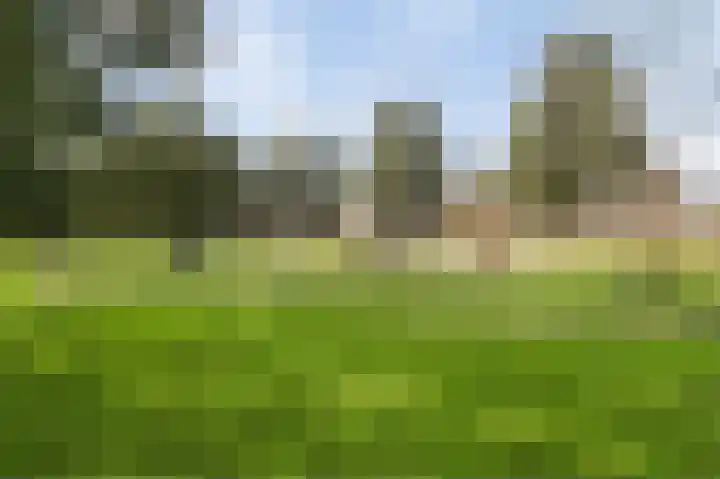 Sparrendaal 34 Vleuten thumbnail 24