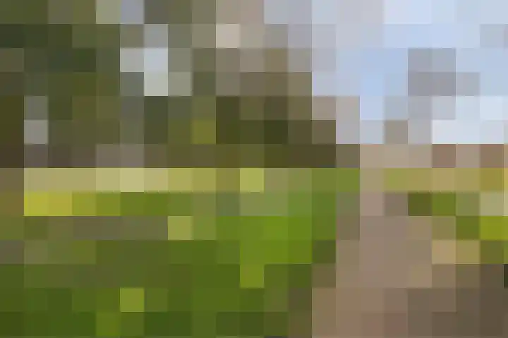 Sparrendaal 34 Vleuten thumbnail 25