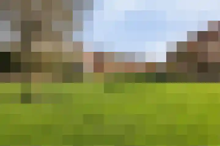 Sparrendaal 34 Vleuten thumbnail 26