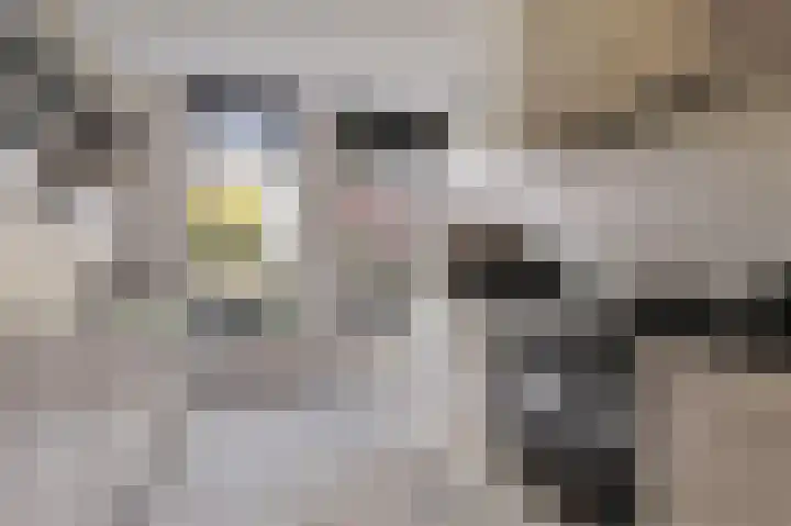 Sparrendaal 34 Vleuten thumbnail 8