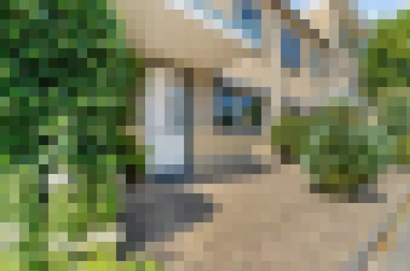 Sparrendaal 38 Amstelveen thumbnail 49