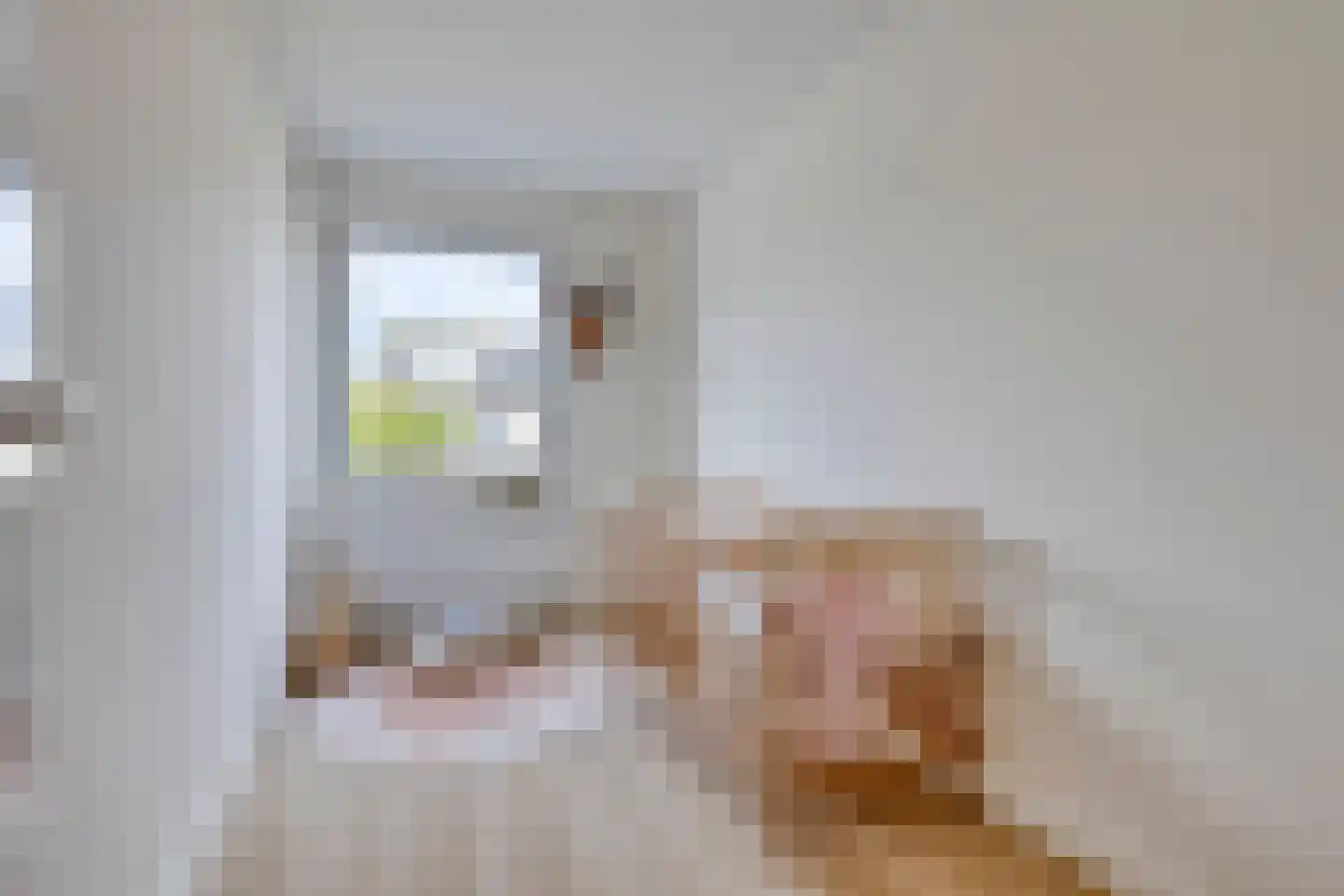 Sparrendaal 52 Amstelveen thumbnail 18