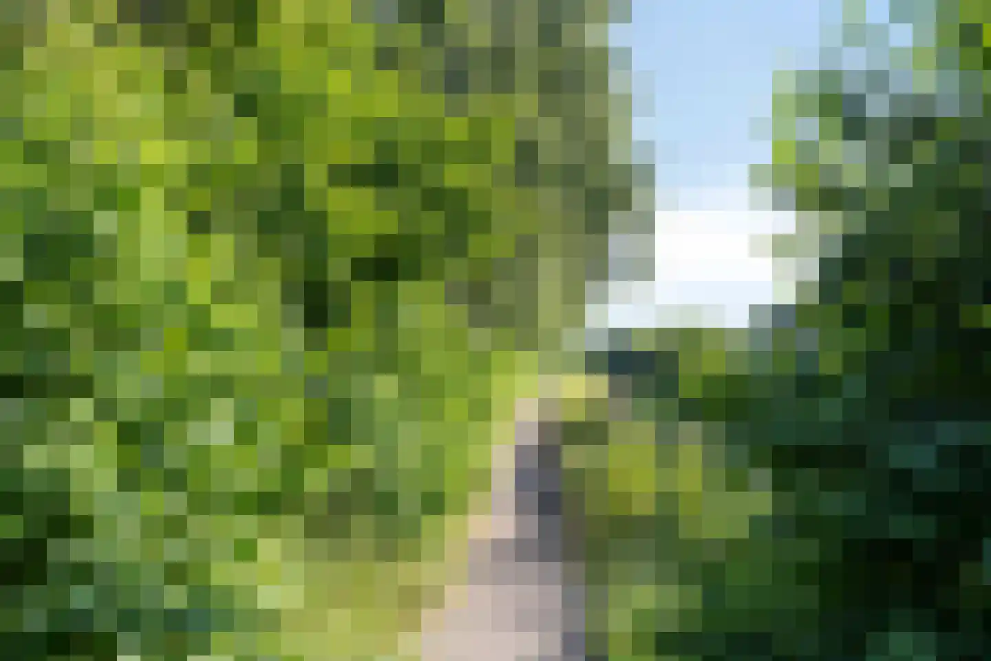 Sparrendaal 59 Amstelveen thumbnail 35