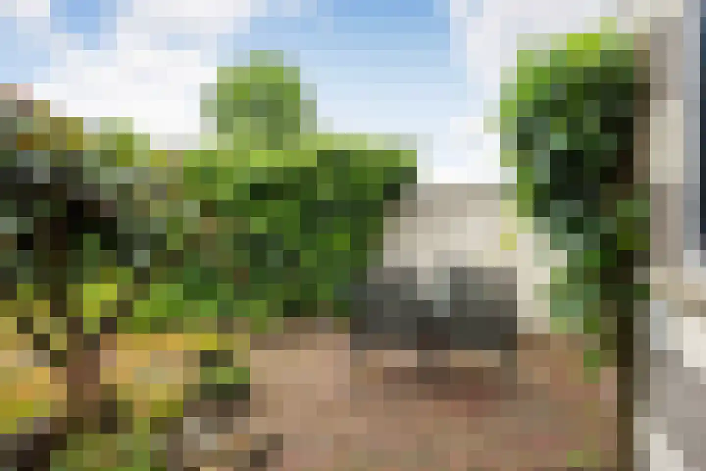Sparrendaal 61 Enschede thumbnail 31