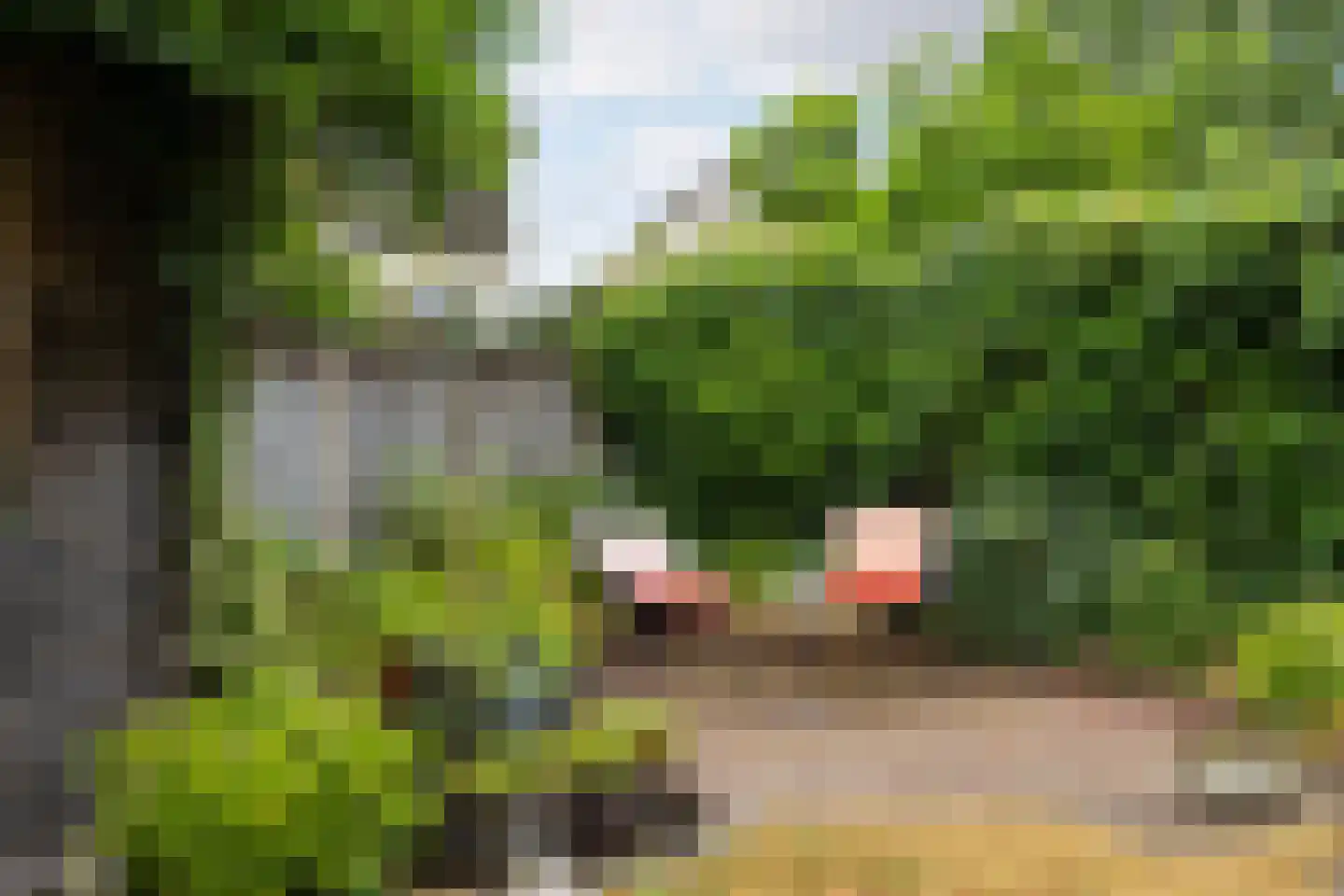 Sparrendaal 61 Enschede thumbnail 33