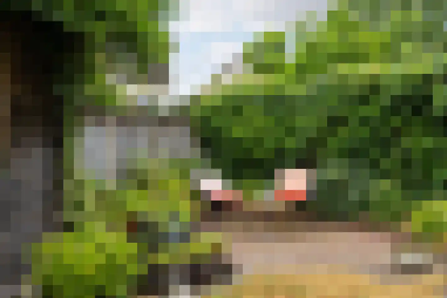Sparrendaal 61 Enschede thumbnail 34