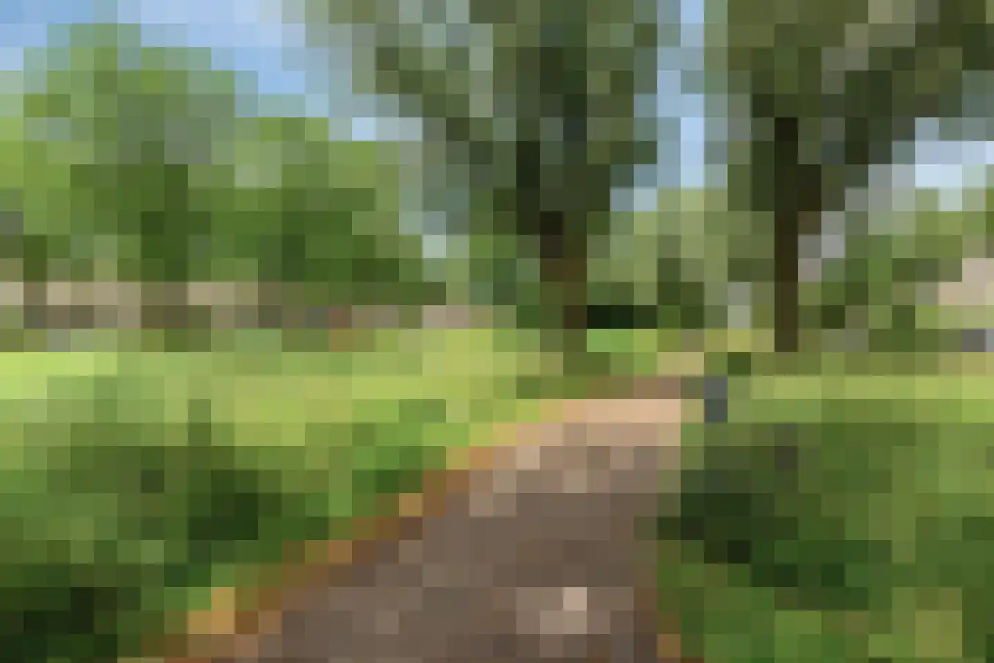 Sparrendaal 65 Amstelveen thumbnail 19