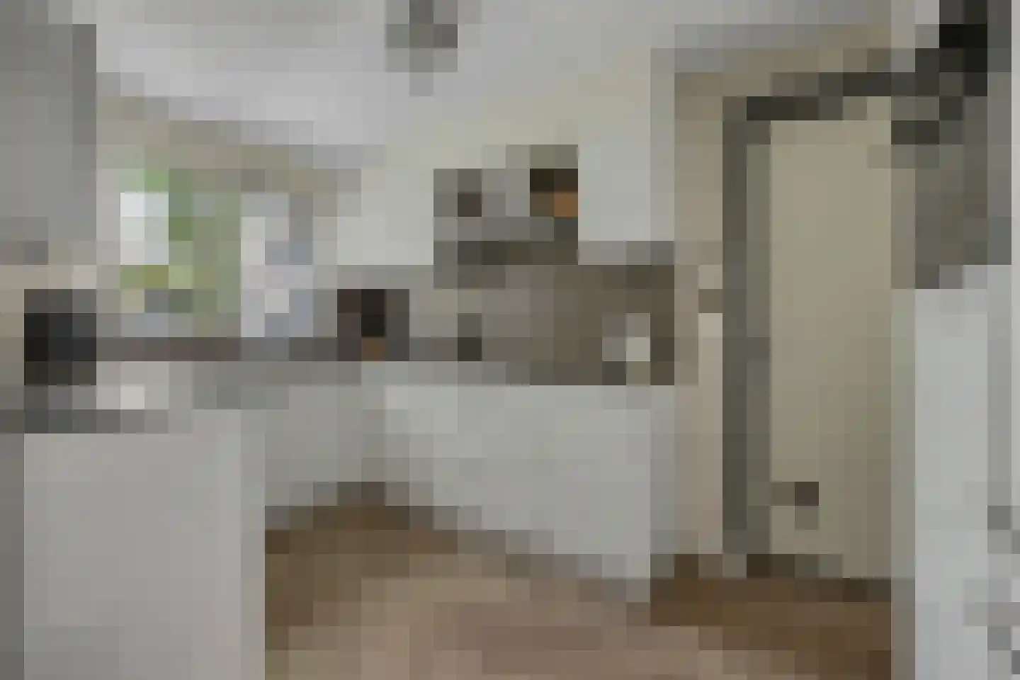 Sparrendaal 91 Enschede thumbnail 17