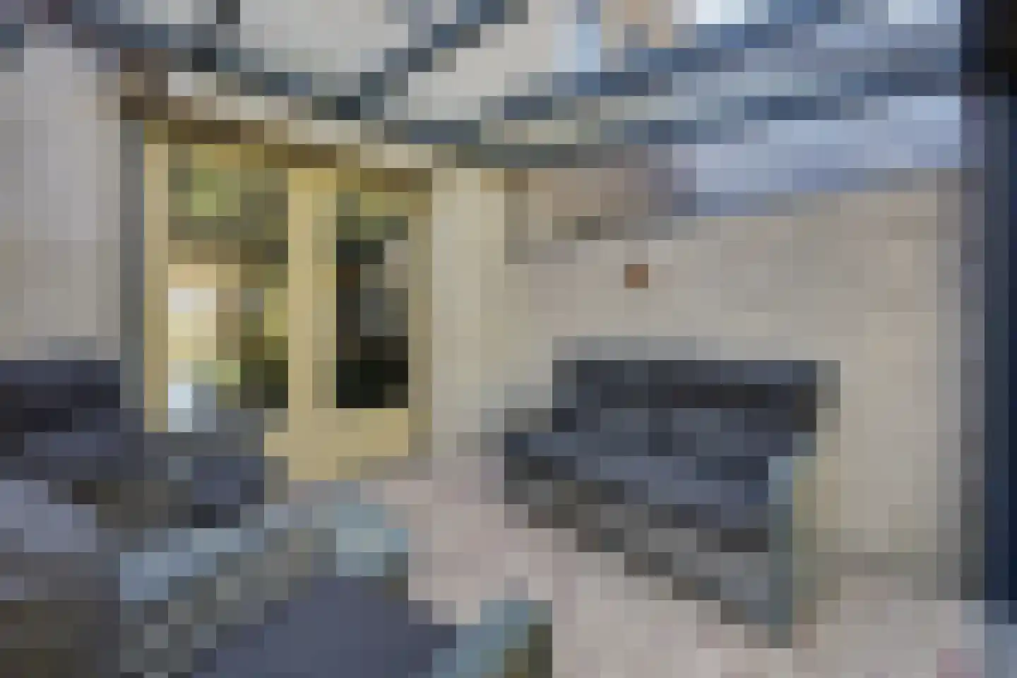 Sparrendaal 91 Enschede thumbnail 35