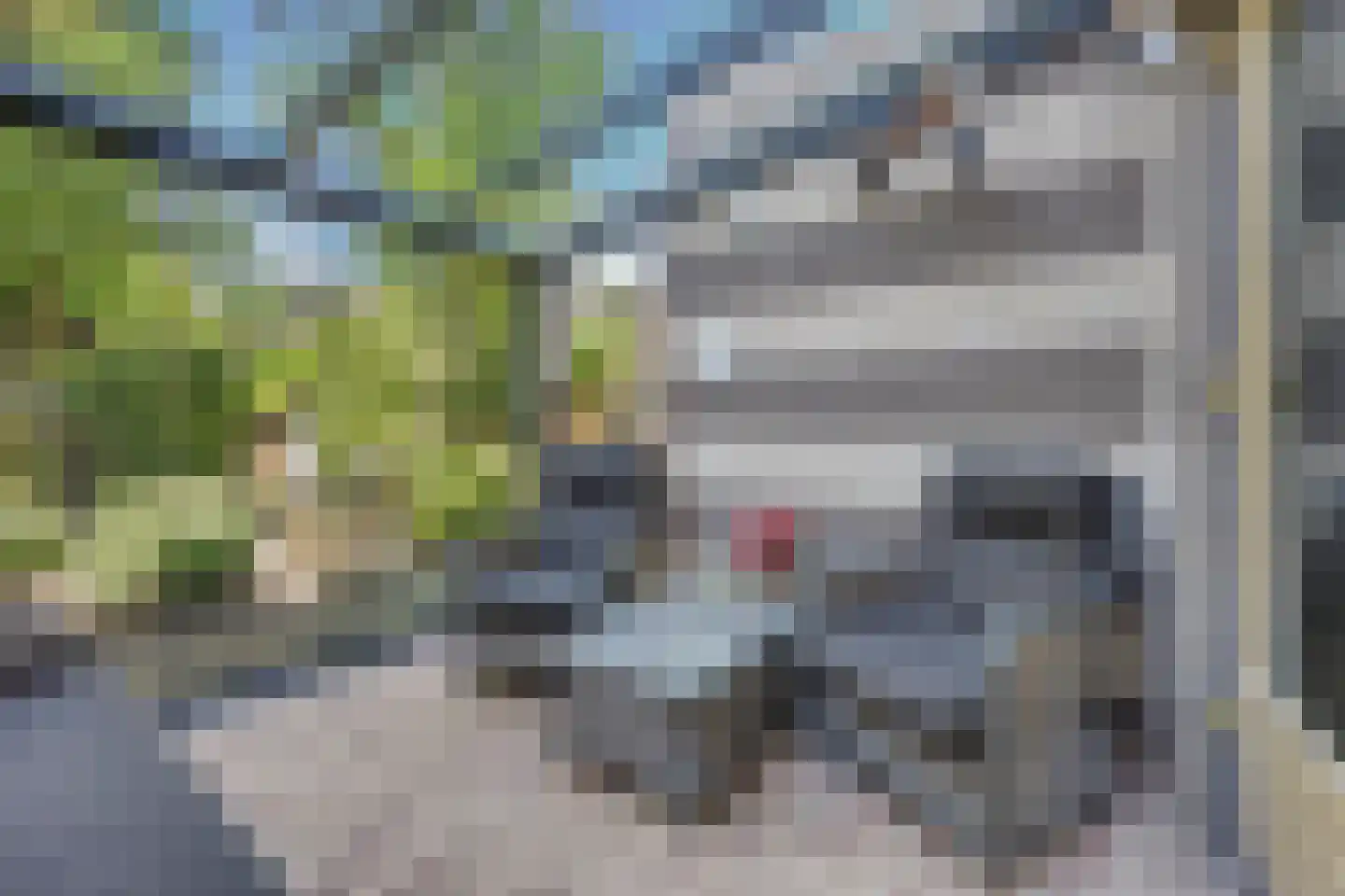 Sparrendaal 91 Enschede thumbnail 36