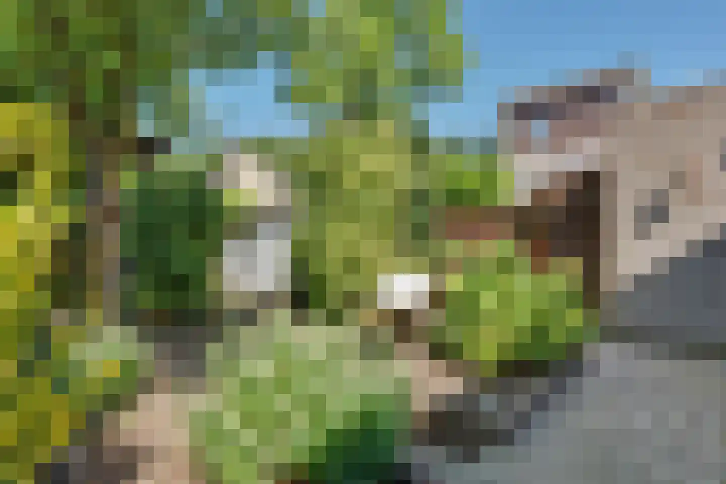 Sparrendaal 91 Enschede thumbnail 38