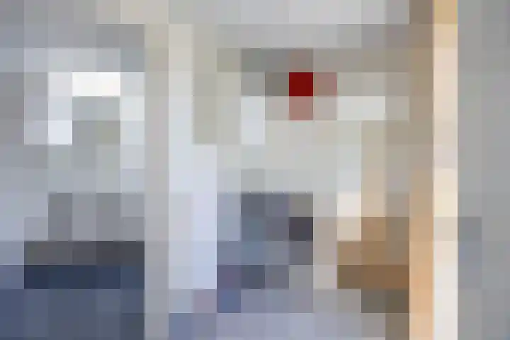 Sparrendreef 12 302 Oostrum thumbnail 25