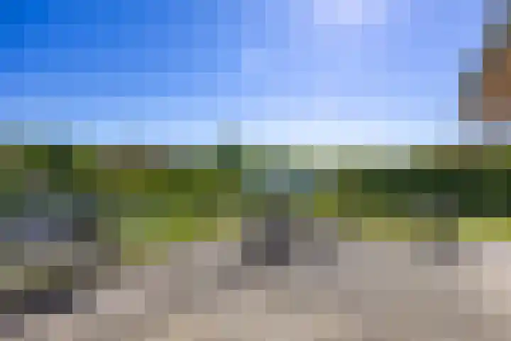 Sparrendreef 12 302 Oostrum thumbnail 31