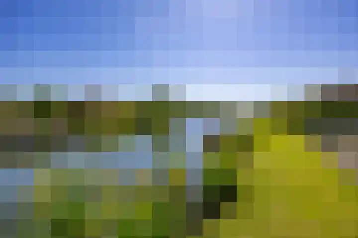 Sparrendreef 12 302 Oostrum thumbnail 35