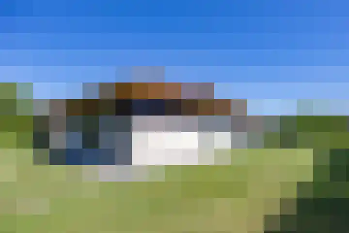Sparrendreef 12 302 Oostrum thumbnail 36