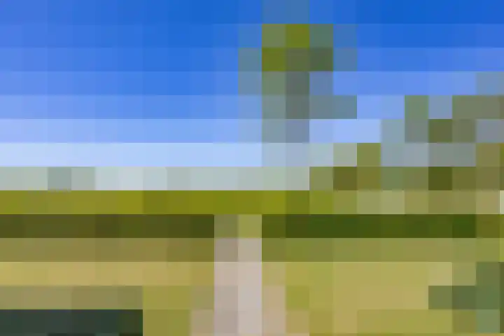 Sparrendreef 12 302 Oostrum thumbnail 37
