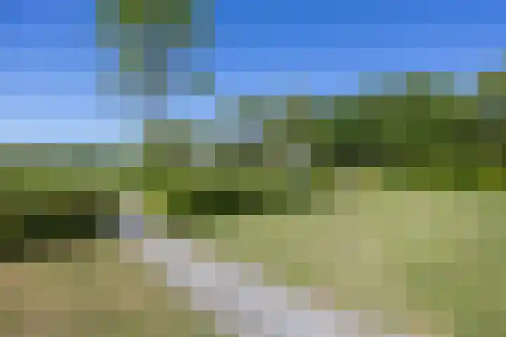 Sparrendreef 12 302 Oostrum thumbnail 38