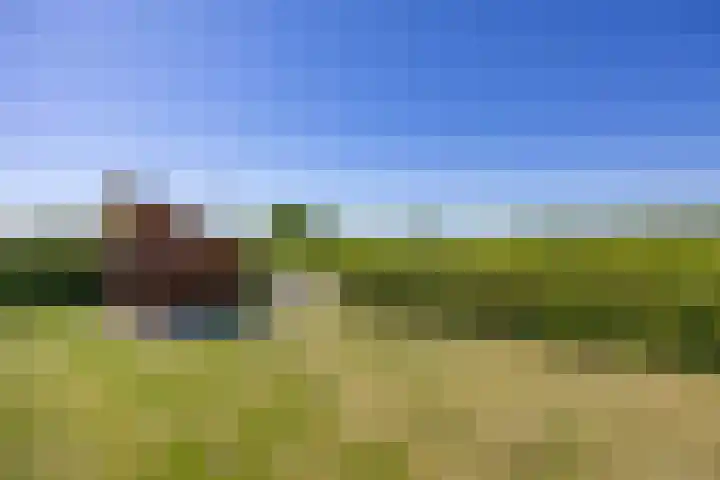 Sparrendreef 12 302 Oostrum thumbnail 39